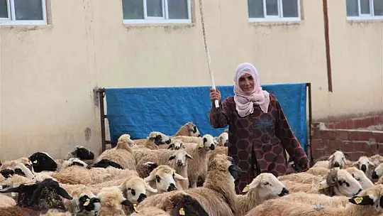Köye yerleşen 3 çocuk annesi kadın devletten aldığı destekle çiftlik kurdu