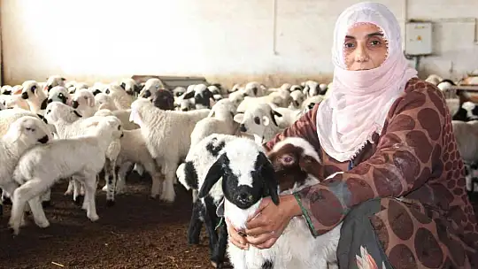 Köye yerleşen 3 çocuk annesi kadın devletten aldığı destekle çiftlik kurdu