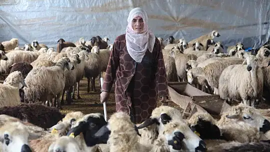 Köye yerleşen 3 çocuk annesi kadın devletten aldığı destekle çiftlik kurdu