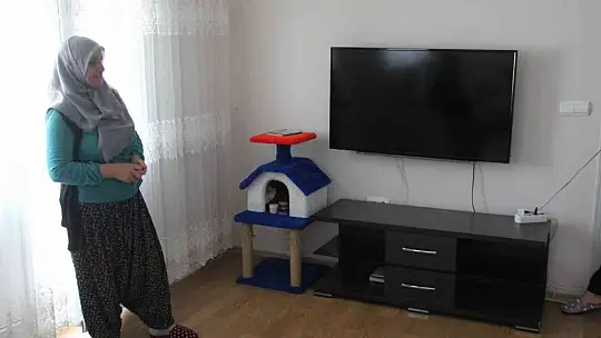 Kurtçuk televizyon ekranının içine yuva yaptı, aile neye uğradığını şaşırdı