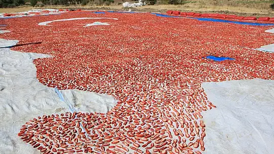 Kurutmalık domateslerle ay yıldızlı Türkiye haritası oluşturuldu