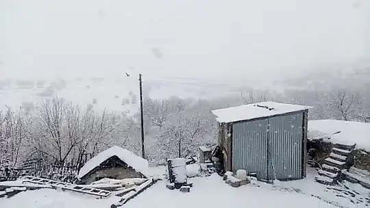 Mart ayında Elazığ'a lapa lapa kar yağdı
