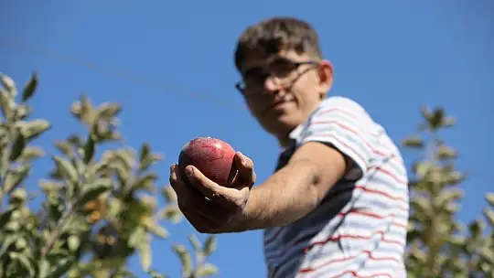Memurluğu bıraktı, modern tarımla kendi işinin patronu oldu