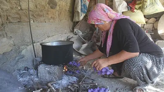 Nohudun meşe ateşinde başlayan yolculuğu
