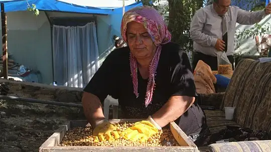 Nohudun meşe ateşinde başlayan yolculuğu