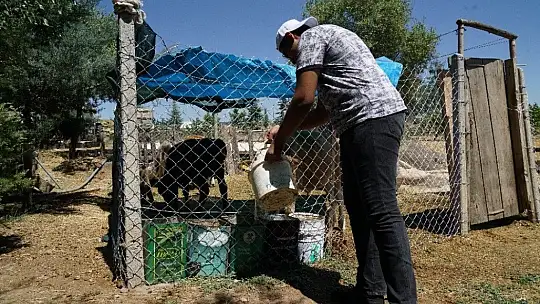 Okul Destek Projesiyle tanıştı, LGS'den 464 puan alarak Fen lisesine yerleşti
