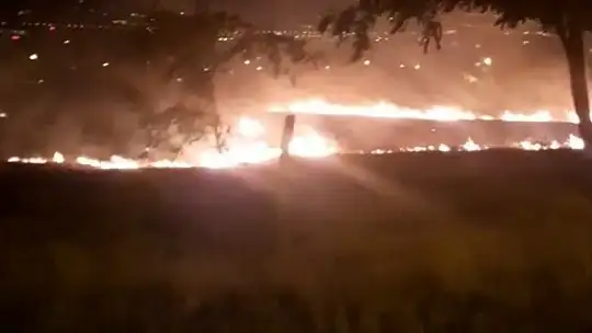 Otluk alanda yangın paniği