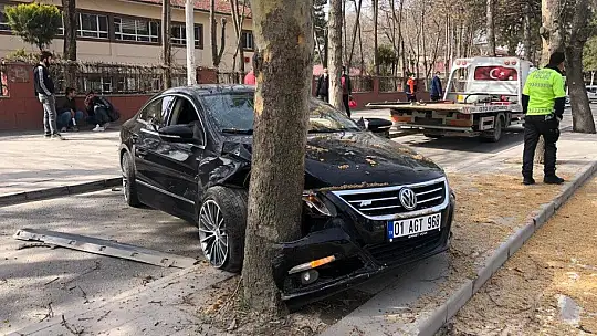 Otomobil ağacı çarptı:1 yaralı