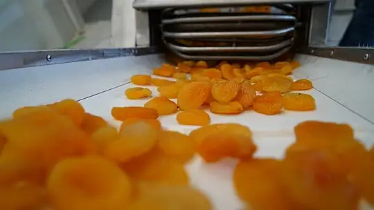 Pilotluğu bıraktı, devlet desteğiyle kendi işinin patronu oldu