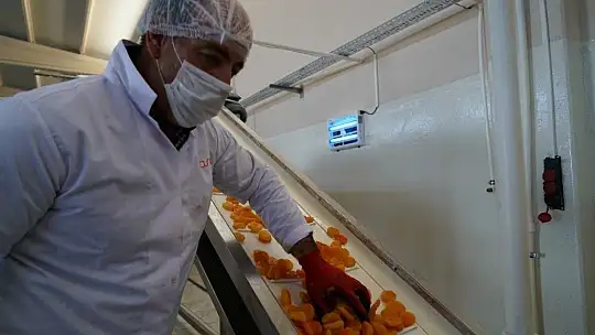 Pilotluğu bıraktı, devlet desteğiyle kendi işinin patronu oldu