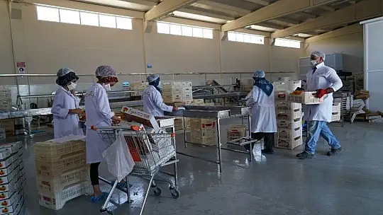 Pilotluğu bıraktı, devlet desteğiyle kendi işinin patronu oldu