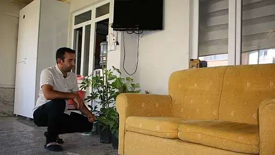 Sağlık çalışanı, televizyonun üstüne yuva yapıp yumurtlayan kumruya gözü gibi bakıyor