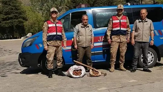 Salep soğanı toplayan 8 kişiye 872 bin lira ceza