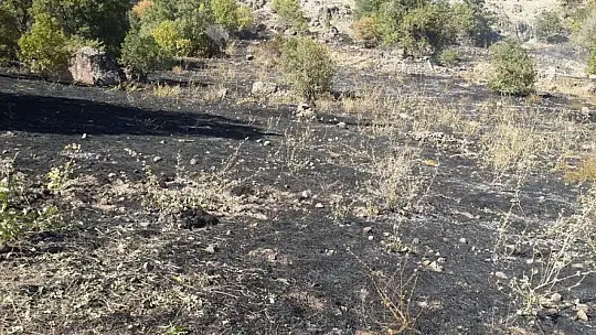 Tunceli'de örtü yangını büyümeden söndürüldü