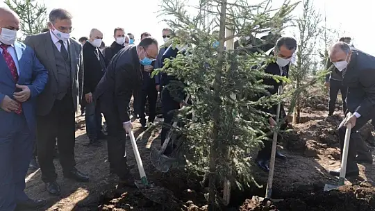 Vali Yırık:' Elazığımızın her yerini ağaçlandıracağız'