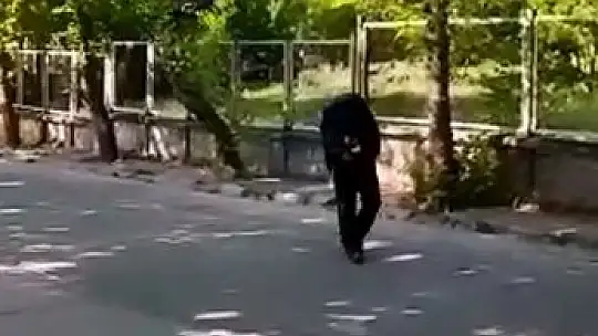 Yavrularını korumak isteyen kargalar vatandaşa zor anlar yaşattı