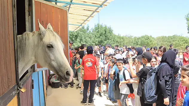Elazığ Belediyesi yaz okulu öğrencilerine kültürel ve çevre gezisi