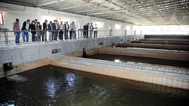 Meclis üyeleri su arıtma tesisini inceledi