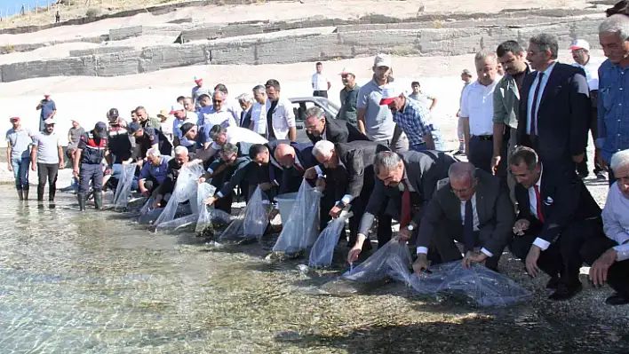 19 ilde 19 milyon yavru sazan sulara bırakıldı