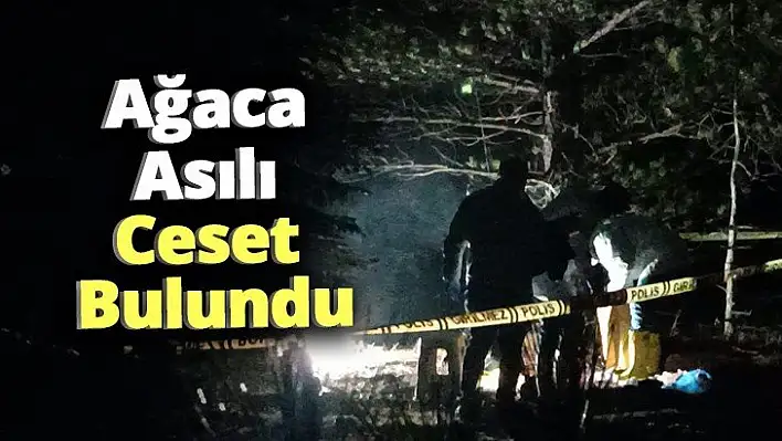 Ağaca Asılı Ceset Bulundu