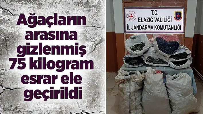 Ağaçların arasına gizlenmiş 75 kilogram esrar ele geçirildi