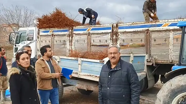 Ağın'da çiftçilere badem fidanı dağıtıldı