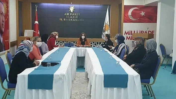 AK Parti Kadın Kollarından Dilipak'a Dava