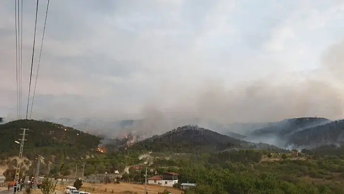 Ankara'da orman yangını