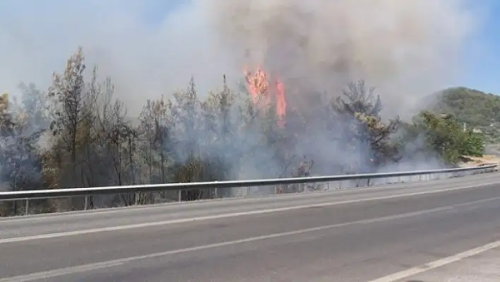 Antalya'da lastiği patlayan kamyon orman yangını çıkardı