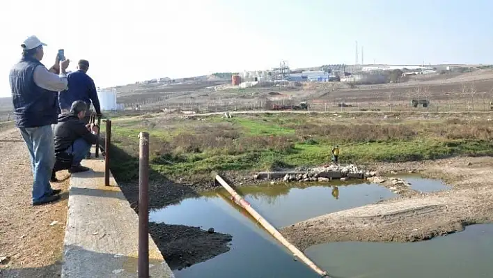 Balık ölümlerinin yaşandığı derede maskeli basın açıklaması