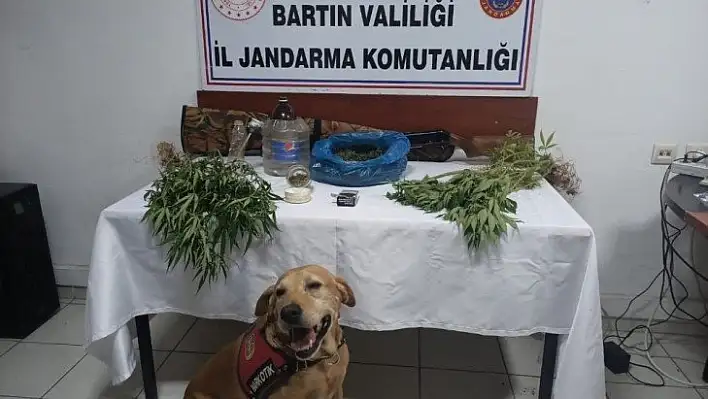 Bartın'da uyuşturucu operasyonu