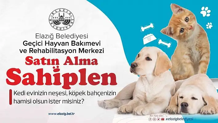 Başkan Şerifoğulları, 'Şehrimizde yaşayan her canlının huzurunu tesis etmek bizlerin en asli görevidir'