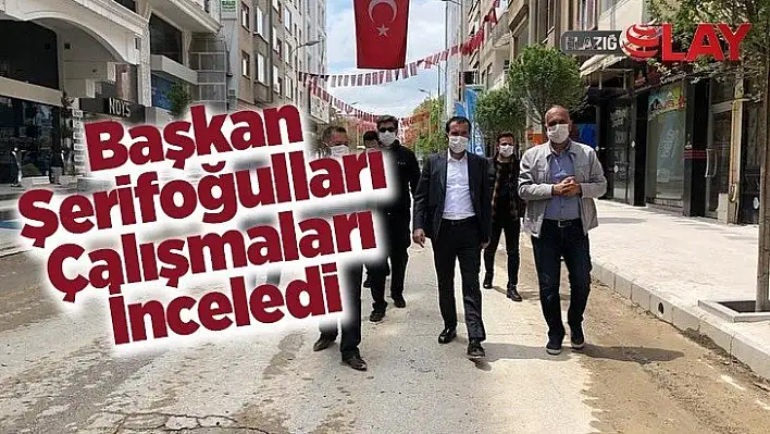 Başkan Şerifoğulları Çalışmaları İnceledi