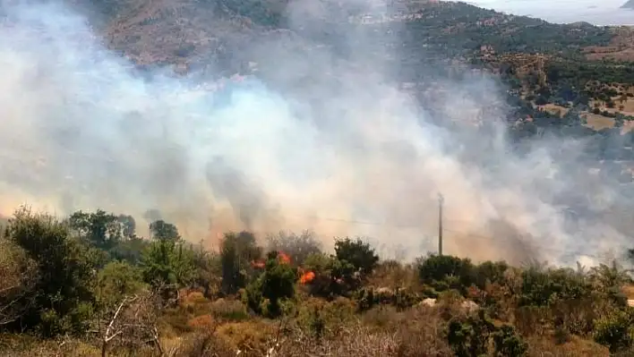 Bodrum'da başlayan yangın yerleşim yerlerini tehdit ediyor