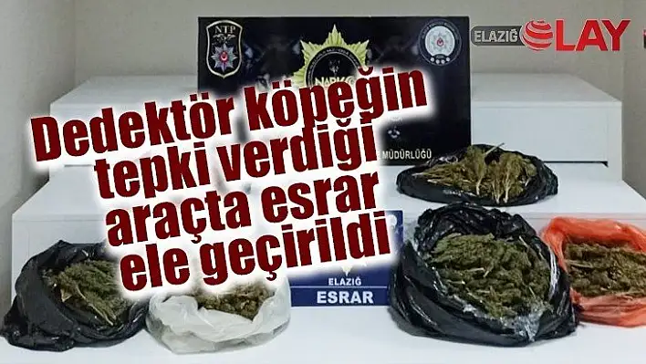 Dedektör köpeğin tepki verdiği araçta uyuşturucu madde ele geçirildi