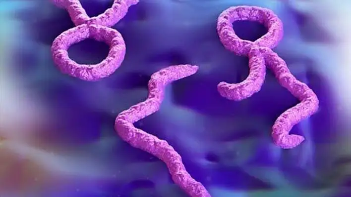 Ebola virüsü yeniden hortladı!