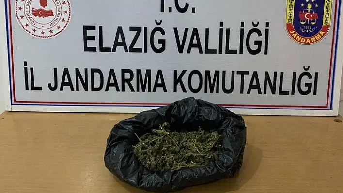 Elazığ'a uyuşturucu getiren şahıs yakalandı