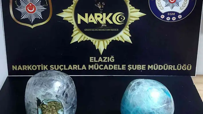 Elazığ'a uyuşturucu sokmak isteyen 2 şüpheli tutuklandı