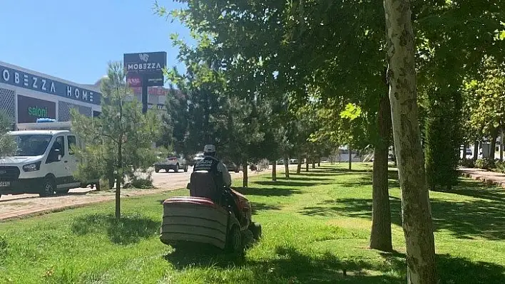 Elazığ Belediyesi çim biçme çalışmalarını aralıksız sürdürüyor