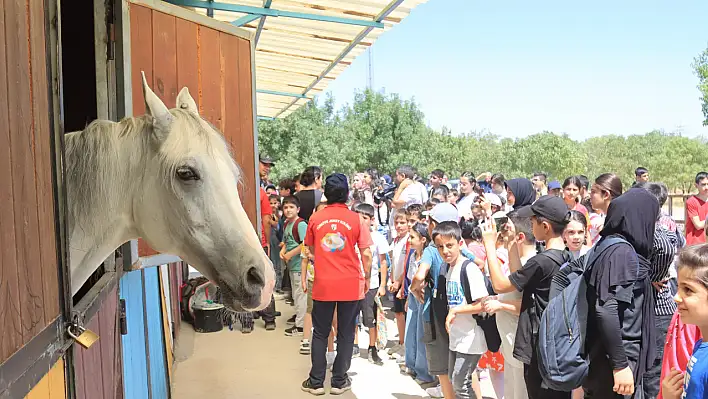 Elazığ Belediyesi yaz okulu öğrencilerine kültürel ve çevre gezisi