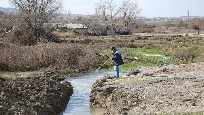 Elazığ Belediyesi'nden Larva İle Mücadele