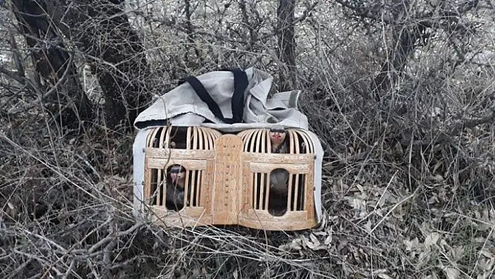 Elazığ'da avlaklarda denetim