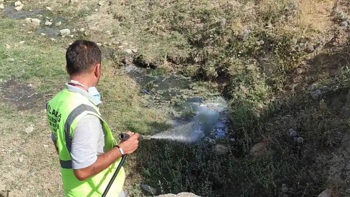 Elazığ'da  ilaçlama çalışmaları sürüyor