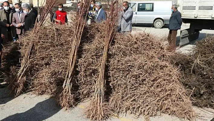 Elazığ'da 'Meyveciliği Geliştirme' projesi, 13 bin fidan dağıtıldı