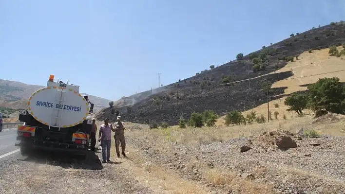 Elazığ'da  orman yangını