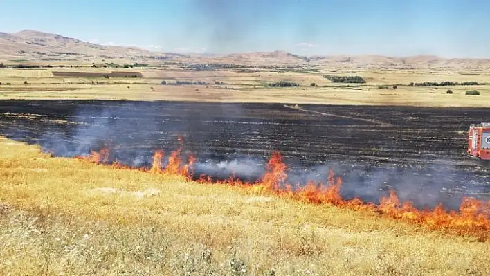 Elazığ'da 150 dönümlük alan kül oldu