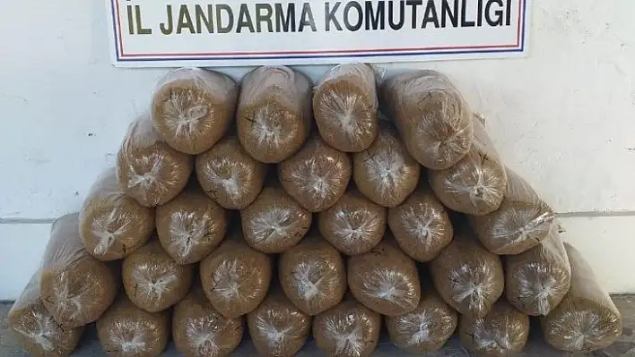 Elazığ'da 150 kilogram kaçak tütün elegeçirildi