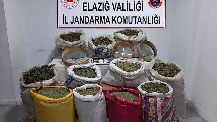 Elazığ'da 210 kilo esrar, 1 kilo skunk ele geçirildi