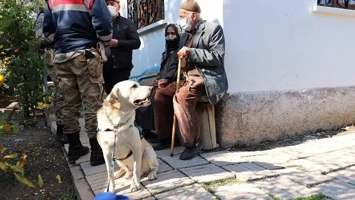 Kayıp kadını iz takip köpeği 'Dost' buldu