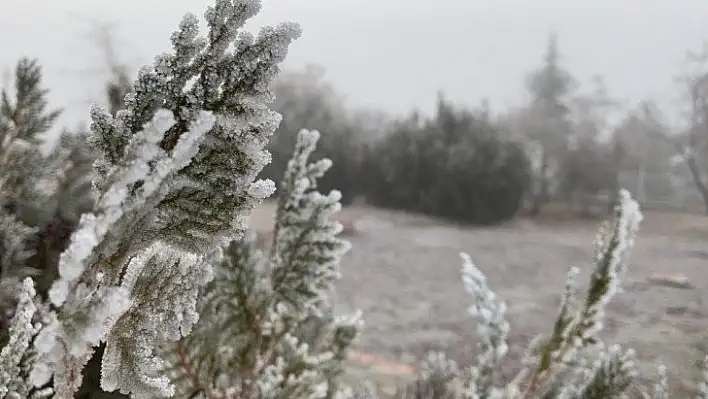 Elazığ'da ağaçlar kırağı tuttu, süs havuzları dondu